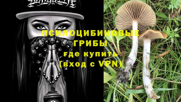PSILOCYBIN Алексин
