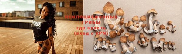 apvp Алексеевка