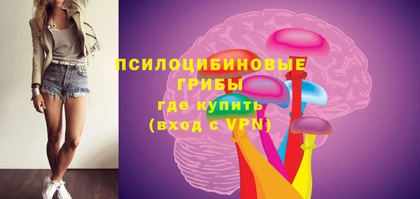apvp Алексеевка