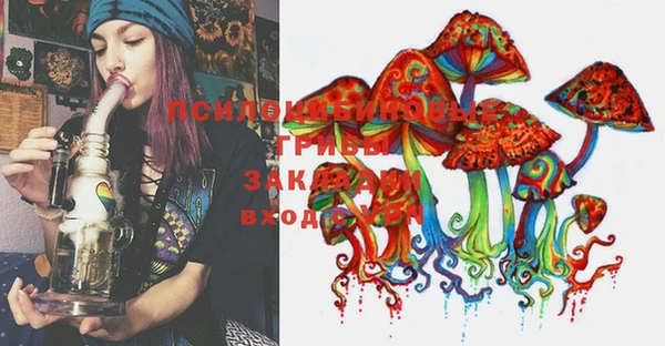PSILOCYBIN Алексин