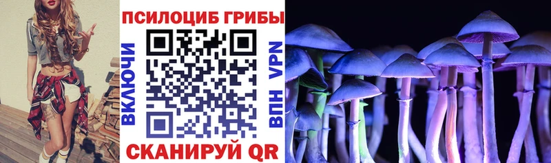 купить   Каменск-Уральский  Галлюциногенные грибы Psilocybine cubensis 