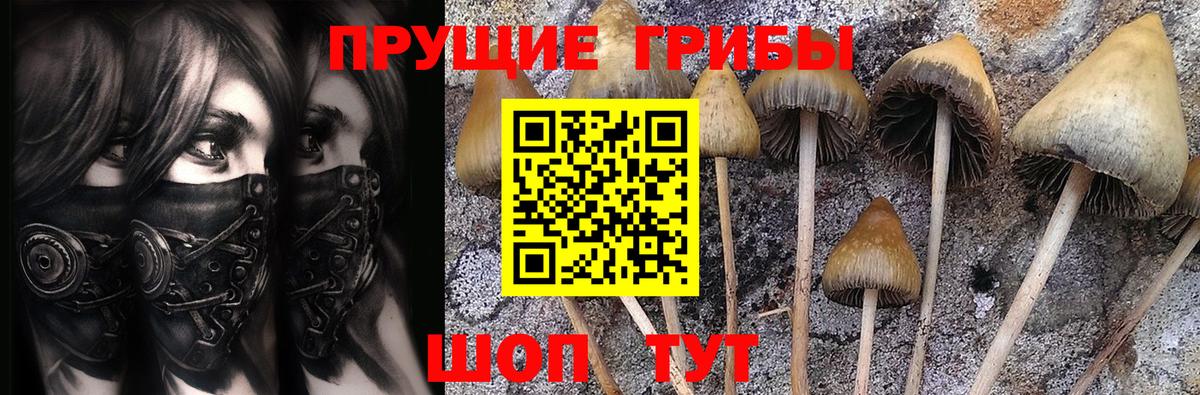 Псилоцибиновые грибы мухоморы  Вход с VPN  Галлюциногенные грибы Psilocybine cubensis  Каменск-Уральский 