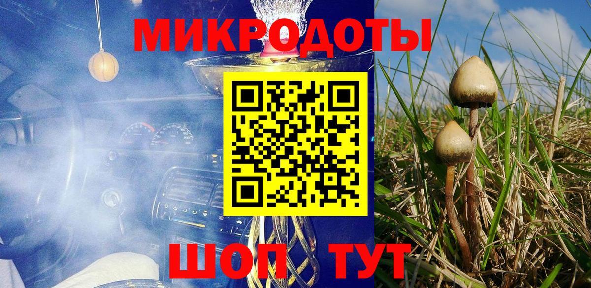 Галлюциногенные грибы Psilocybe Каменск-Уральский